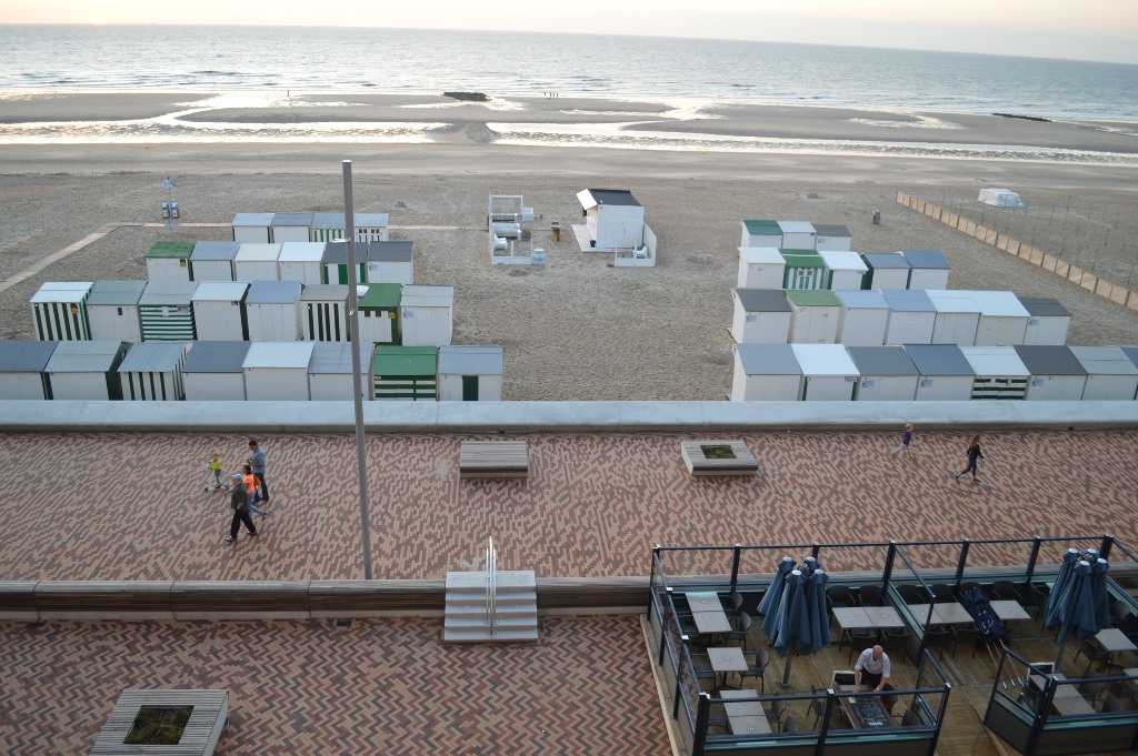 zicht_vooraan_Seagull