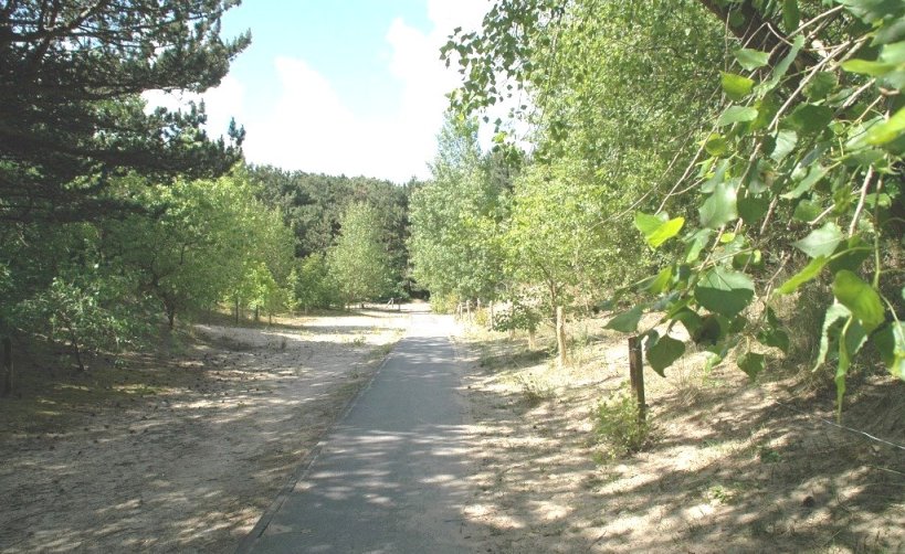 Duinbossenwandelpad