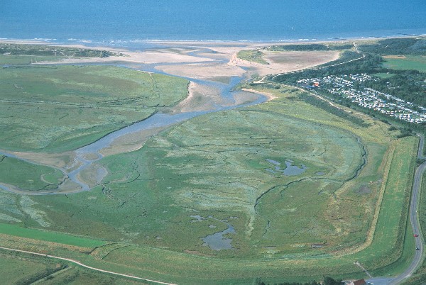 het Zwin