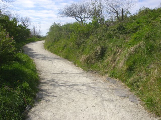 de duinen in Wenduine